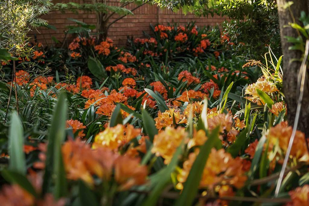Hudson House Hotel Pretoria Bagian luar foto